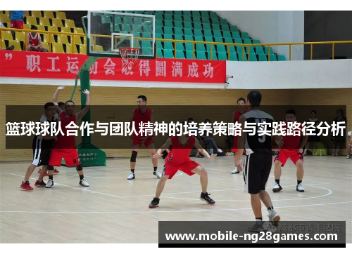 篮球球队合作与团队精神的培养策略与实践路径分析