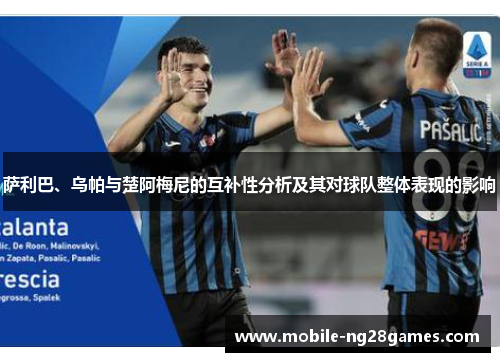 萨利巴、乌帕与楚阿梅尼的互补性分析及其对球队整体表现的影响