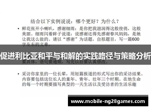 促进利比亚和平与和解的实践路径与策略分析