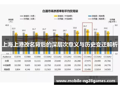上海上港改名背后的深层次意义与历史变迁解析