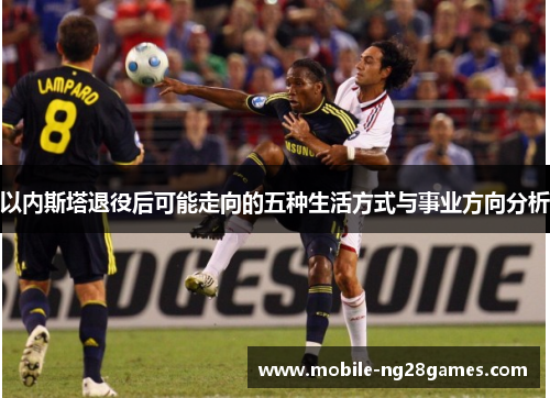以内斯塔退役后可能走向的五种生活方式与事业方向分析