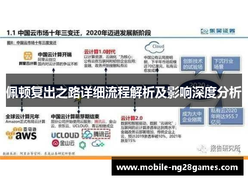 佩顿复出之路详细流程解析及影响深度分析