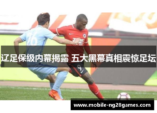 辽足保级内幕揭露 五大黑幕真相震惊足坛