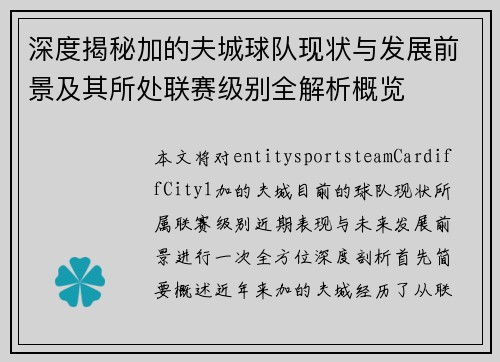 深度揭秘加的夫城球队现状与发展前景及其所处联赛级别全解析概览