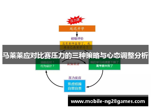 马莱莱应对比赛压力的三种策略与心态调整分析