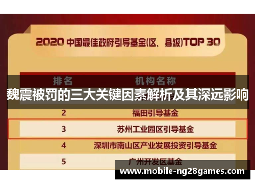 魏震被罚的三大关键因素解析及其深远影响